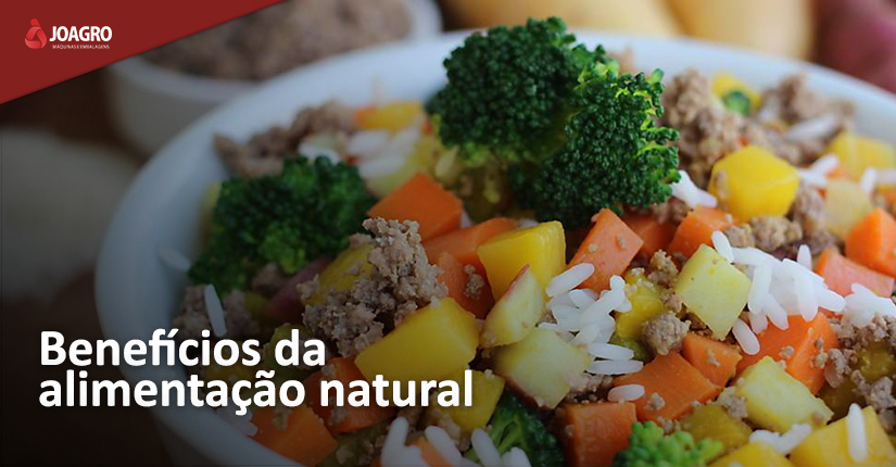 Benefícios da alimentação natural