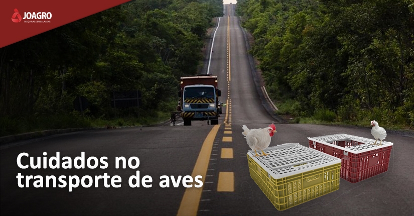 Cuidados no transporte de aves