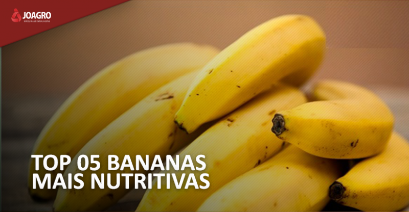 TOP 05 bananas mais nutritivas