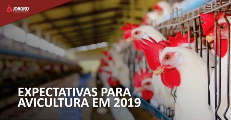 Expectativas para a avicultura em 2019