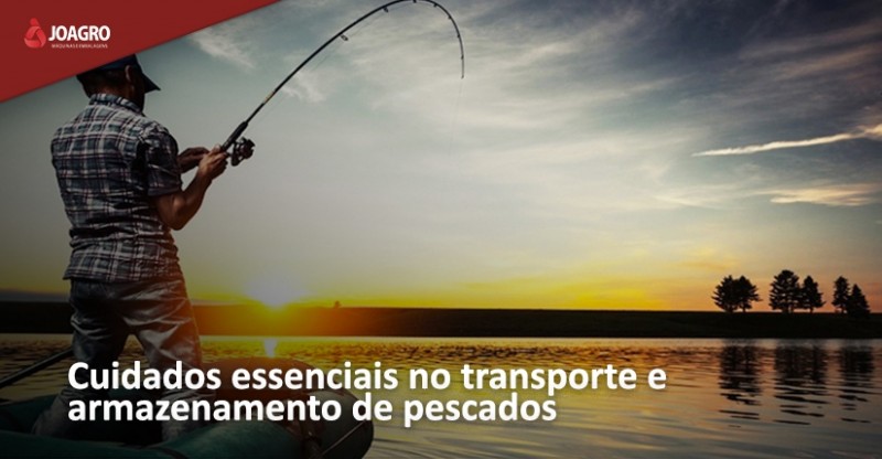 Cuidados essenciais no transporte e armazenamento de pescados