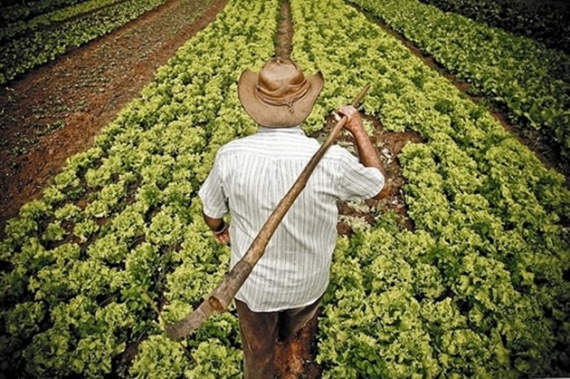 Agricultura familiar no Brasil