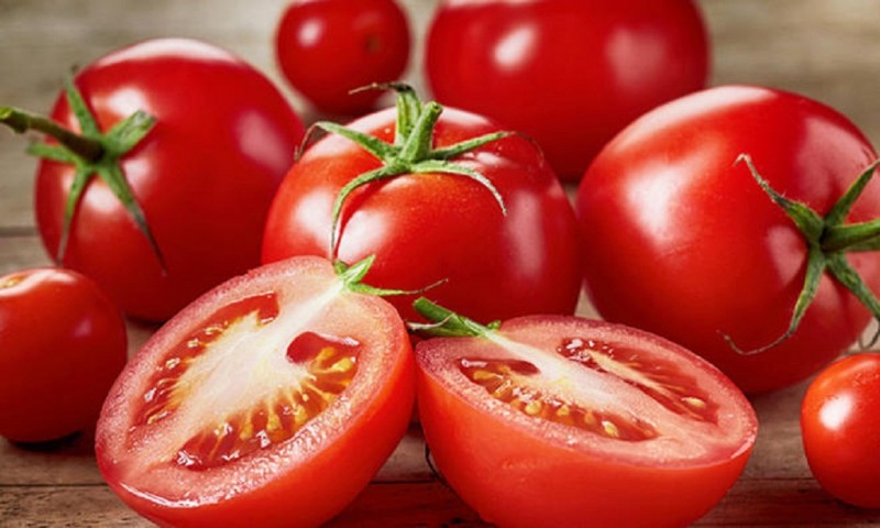 03 tipos de tomate para a sua produção