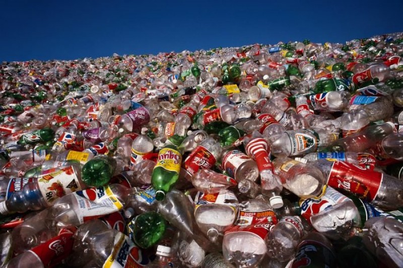 Como a reciclagem de garrafas pet pode impactar seu negócio