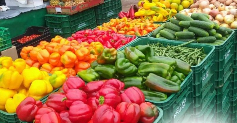 Como armazenar corretamente vegetais em uma caixa de verduras