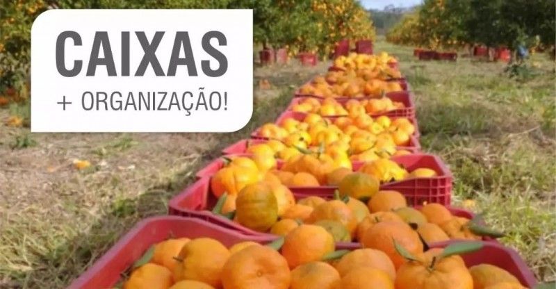 As melhores maneiras de transportar sua caixa de verduras