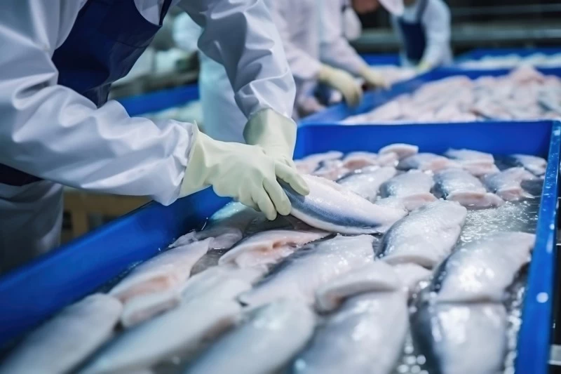 Tecnologia de pescados: inovação na indústria e nos cuidados