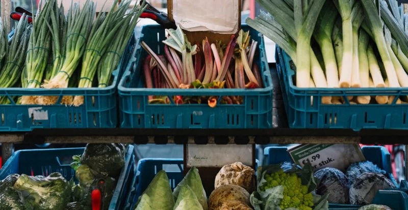 Caixa plástica para verdura como aliada na conservação de produtos frescos