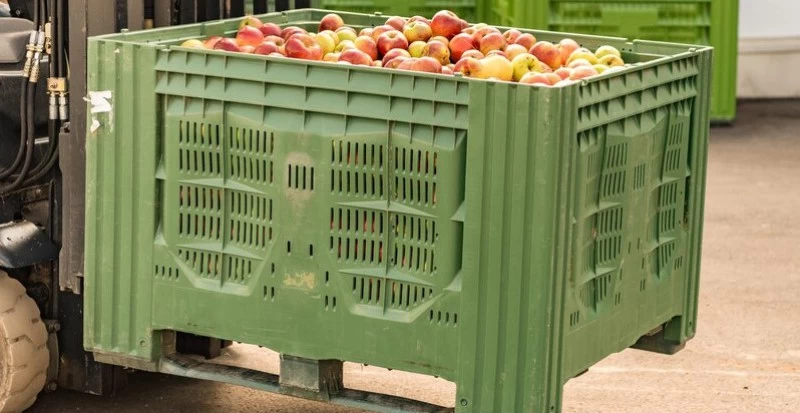 Armazenagem pós-colheita: caixas plásticas para frutas para prolongar sua vida útil