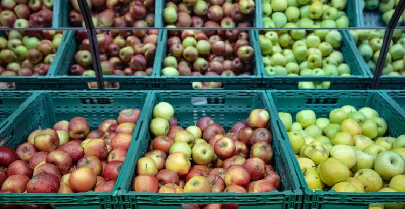Tipos de caixas: qual o melhor custo-benefício no transporte de hortifruti?