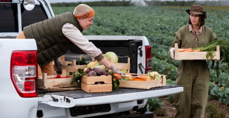 Caixas plásticas como solução para os 9 erros do transporte de alimentos