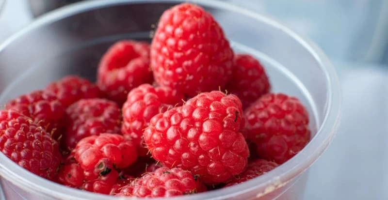 As 10 frutas mais delicadas no transporte e como evitar perdas com caixas plásticas