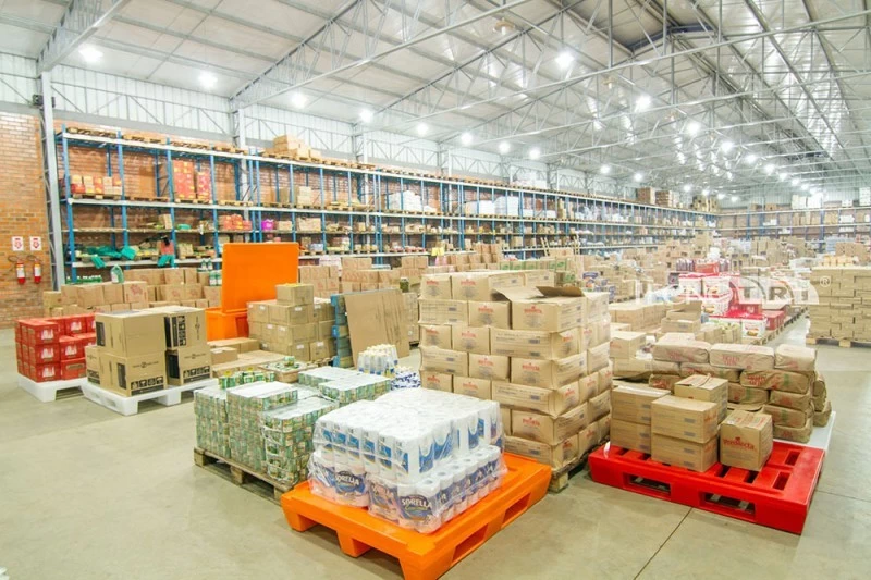 Porque o pallet de madeira está sendo substituído pelo pallet de plástico