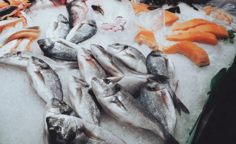 Transporte de Peixes: Cuidados Essenciais para Armazenamento e Conservação