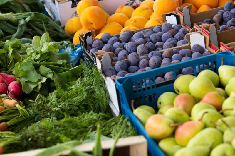 Qual a melhor caixa para cada tipo de hortifrúti? (Frutas, Legumes e Folhas)